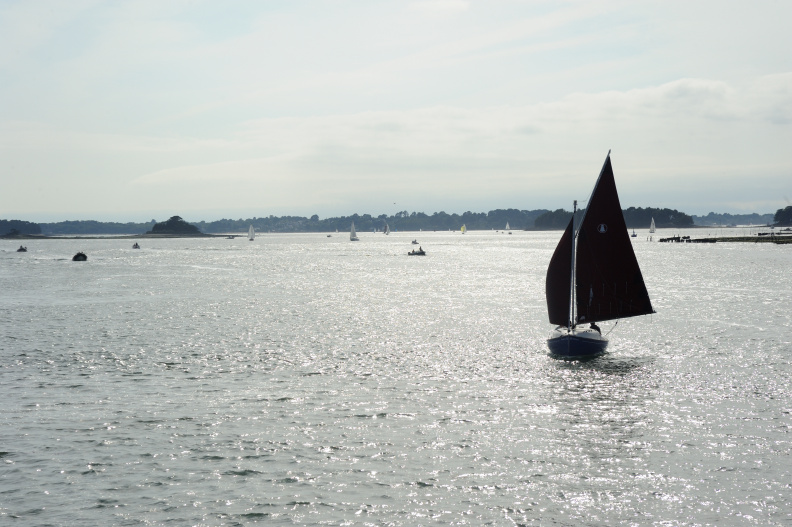 DSC_6628_00001.jpg