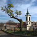 Eglise Hongroise