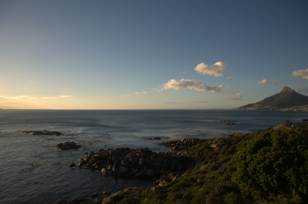 Lion's head