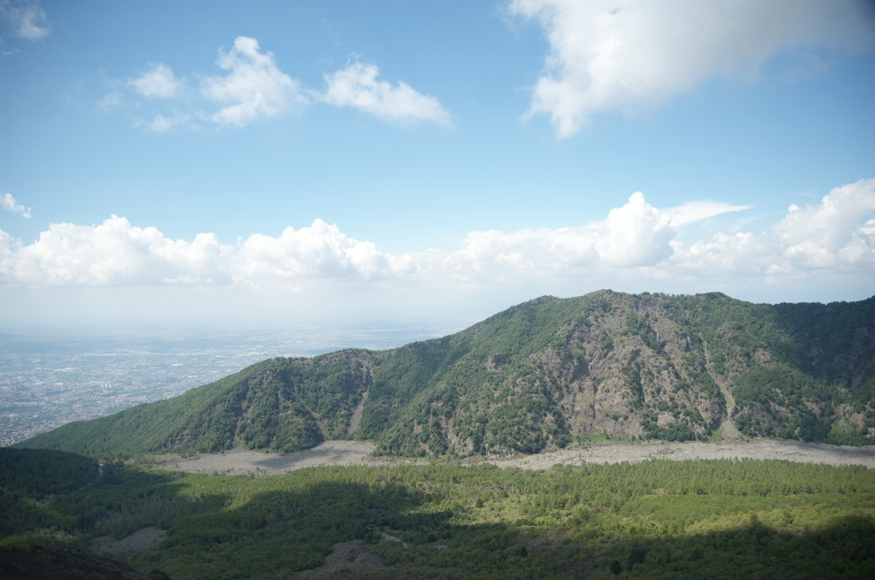 DSC_5442-Edit.jpg