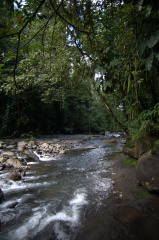 Rivière de la cascade aux écrevisses