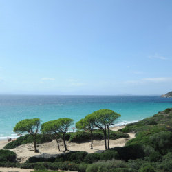 Sardaigne