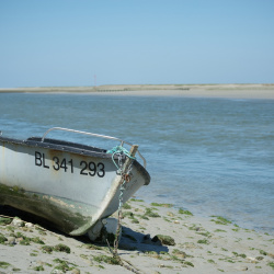 Baie de Somme